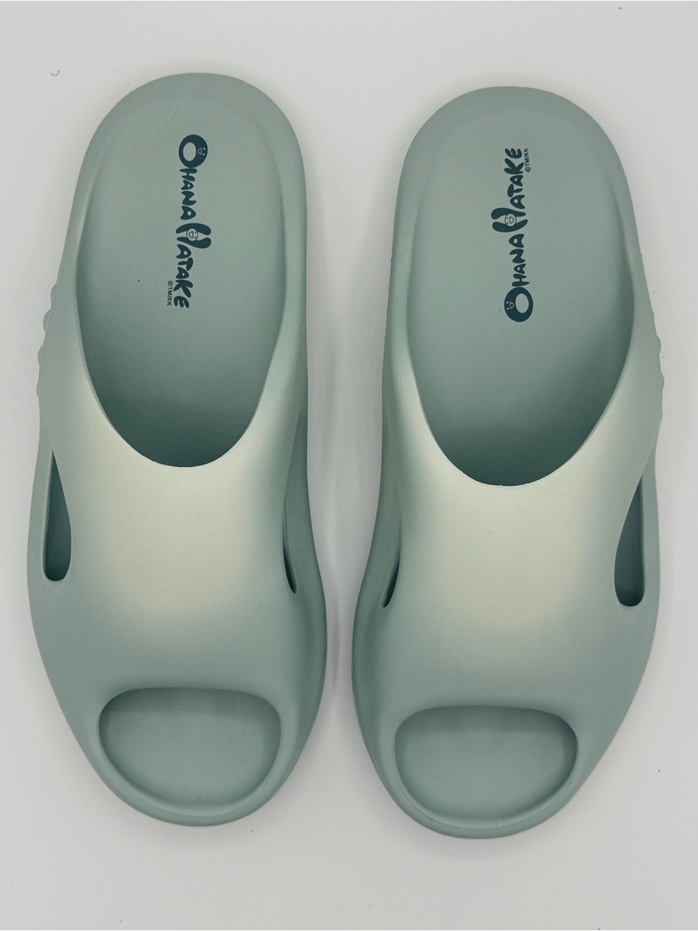 Takashi Murakami Surippa Ohana Slides  - Aqua Foam 11 Slip Ons
